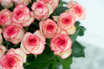Elegant bouquet of pink and cream roses close up. Romantic floral background perfect for weddings, Valentine’s Day, anniversaries