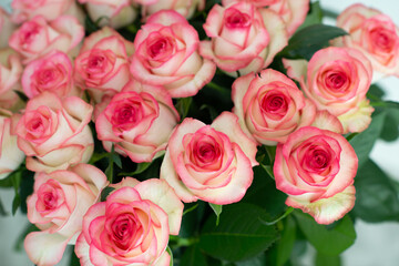 Elegant bouquet of pink and cream roses close up. Romantic floral background perfect for weddings, Valentine’s Day, anniversaries