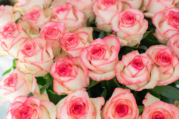 Elegant bouquet of pink and cream roses close up. Romantic floral background perfect for weddings, Valentine’s Day, anniversaries