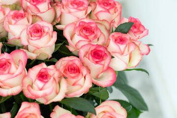 Elegant bouquet of pink and cream roses close up. Romantic floral background perfect for weddings, Valentine’s Day, anniversaries