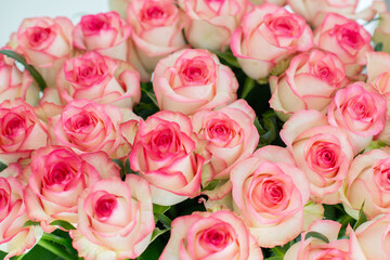 Elegant bouquet of pink and cream roses close up. Romantic floral background perfect for weddings, Valentine’s Day, anniversaries
