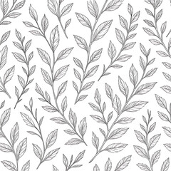 Monochrome Botanical Sketch Pattern