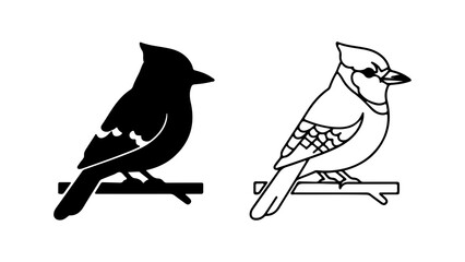 Blue Jay Silhouette and Outline Bird on Branch Illustration.