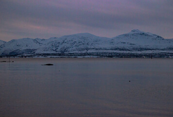 Pink Polar Night Sunrise Over Mountains and Bay in Telegrafbukta, Tromsø, Norway