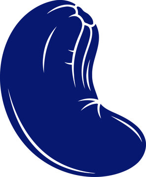 midnight blue bean symbol of growth, potential, and hidden bounty, isolated on transparent background