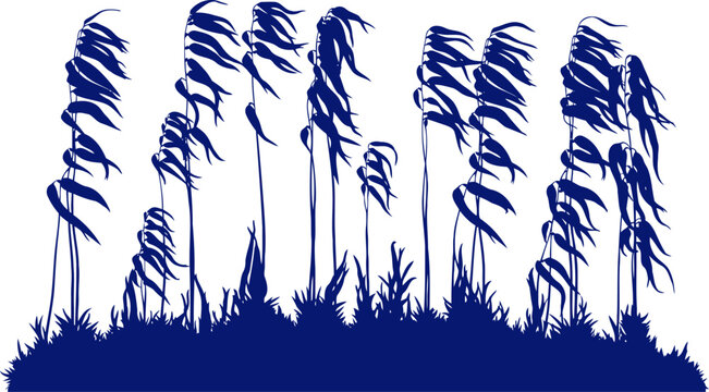 midnight blue grass silhouette serene meadow, gentle breeze, whispering reeds, isolated on transparent background