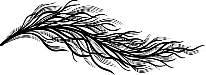 Obraz premium abstract black ink feather elegant swirl design, graceful graphic, isolated on transparent background