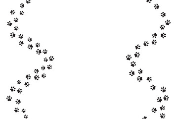 Obraz premium Winding path of animal paw prints isolated on white for wildlife and pet themes silhouette