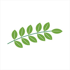 A sprig with eight small oval green leaves arranged symmetrically on a thin stem on a white background