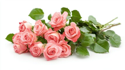 Fototapeta premium Pink Roses Bouquet Fresh Beautiful Blooms.