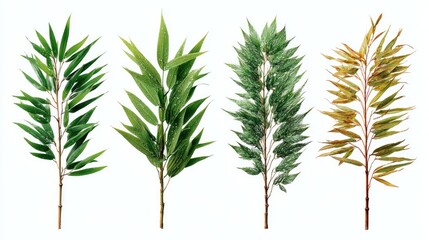 Four plant sprigs in varying shades of green and a muted gold