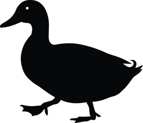 Silhouette of a duck walking with a detailed eye and feet, perfect for nature, wildlife, and animalSilhouette of a duck walking with a detailed eye and feet, perfect for nature, wildlife, and animal