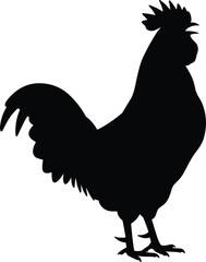 Silhouette of a Rooster Standing Proudly, Ideal for Farm Animal Illustrations, Vintage LabelsSilhouette of a Rooster Standing Proudly, Ideal for Farm Animal Illustrations, Vintage Labels