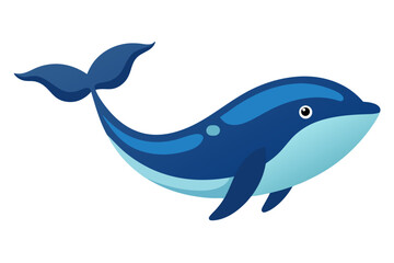 dolphin
