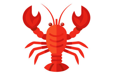red lobster isolated on white