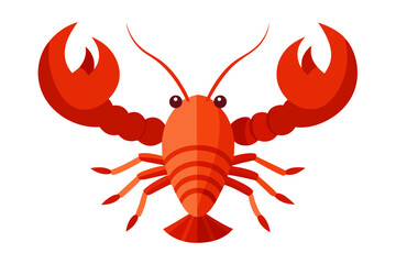 red lobster isolated on white