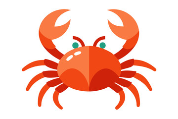 crab isolated on white background