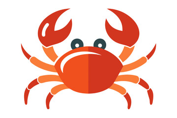 red crab on white background