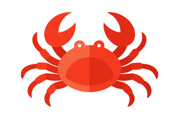 red crab on white background