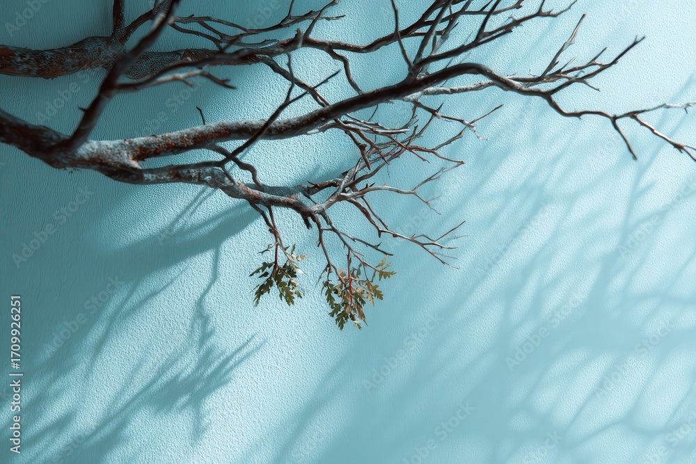 Poster gentle light blue background with an artistic display of branches and leaves casting soft shadows in
