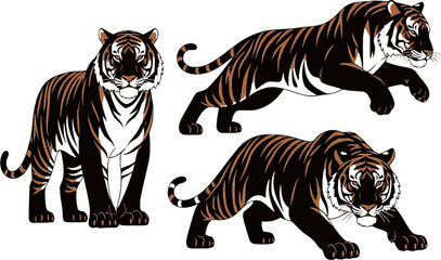 Obraz premium set of illustration of tigers. standing tiger running hunting pose. three colors. isolated on a white background. 