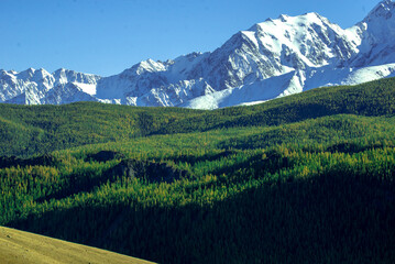 landscape in the mountains