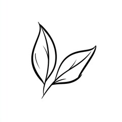 Simple black line drawing of two leaves