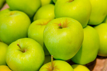 Juicy green apples: fresh harvest close-up
