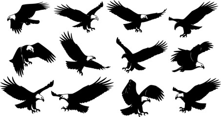 Obraz premium set of silhouettes of eagles flying. sketch style vector. isolated background 