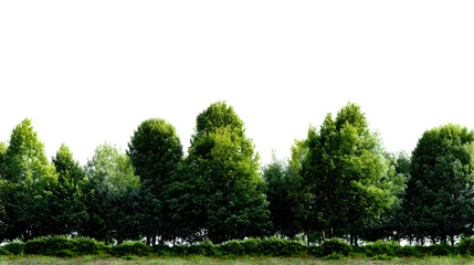 Isolated Trees and Bushes Cutout