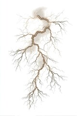 Abstract, intricate branching pattern in muted browns and tans, resembling roots or lightning, on a white background