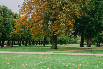 The King's Garden in central Copenhagen city on rainy day.