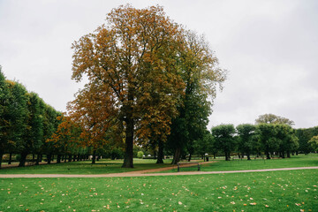 The King's Garden in central Copenhagen city on rainy day.