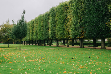 The King's Garden in central Copenhagen city on rainy day.
