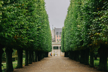 The King's Garden in central Copenhagen city on rainy day.