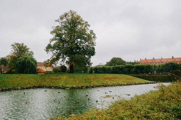 The King's Garden in central Copenhagen city on rainy day.