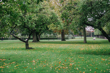 The King's Garden in central Copenhagen city on rainy day.