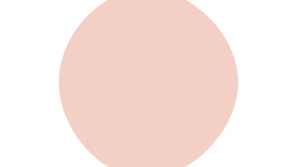 Minimalist pale pink oval shape on a white background, providing a soft abstract graphic element for design and branding.