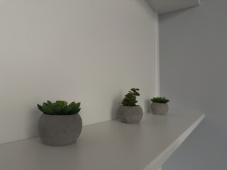 White shelf on a white background with three small pots holding tiny succulents, minimalist indoor decor, clean and modern aesthetic for home or office.