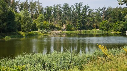 Tranquil forest pond surrounded by lush greenery and tall trees under summer sky. Concept of peaceful nature, calm reflection and outdoor relaxation