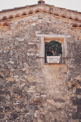 Discovering a charming window adorned with greenery on a rustic stone wall of an old building in a quaint village during a gentle midday light