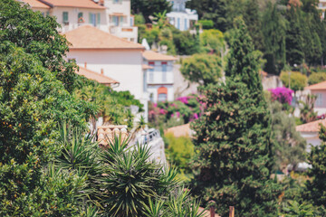 Lush greenery and vibrant blooms create a picturesque scene in a Mediterranean hillside village during a sunny afternoon