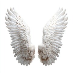 Obraz premium Pair of pristine white angel wings (4)