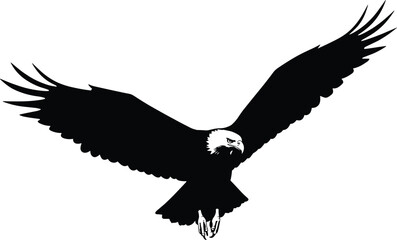 Obraz premium Bald eagle silhouette with wings spread wide in flight, vector illustration of powerful bird of prey, freedom and strength symbol