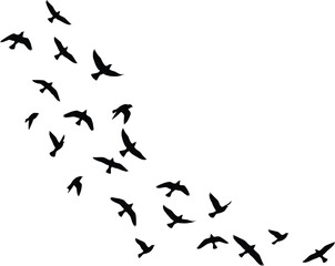 Silhouettes of flying birds in flock formation, vector illustration of wild animals in motion, migration concept for design and backgrounds
