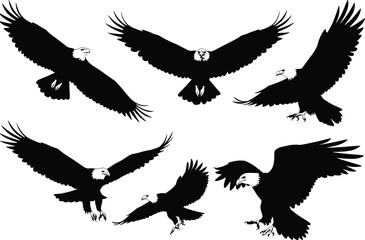 Set of flying eagle silhouettes in different poses, black vector illustration for wildlife design, freedom concept, decorative clipart and patterns