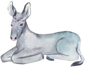Watercolor illustration of a lying donkey. Perfect for farm scenes, nativity illustrations, children’s books, and cozy pastoral artwork.