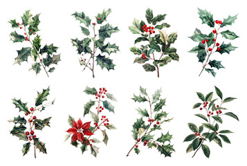 PNG Festive holly branches with berries, element set on transparent background