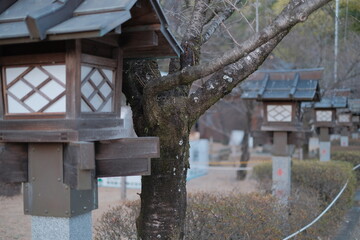 冬の武田神社