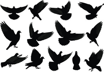 Flying pigeon bird silhouettes collection, black dove vector illustration set with wings spread, wildlife design for tattoo, logo, and decoration